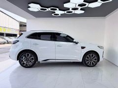 Ora Hongqi HS5 2023 2.0T four-wheel drive Qixiang Pro 500,000 units commemorative edition - ფოტო 12