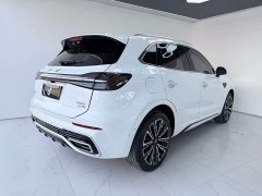 Ora Hongqi HS5 2023 2.0T four-wheel drive Qixiang Pro 500,000 units commemorative edition - ფოტო 7