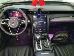 Hongqi H5 2024 2.0T Automatic Zhilianqichang Edition - ფოტო 10