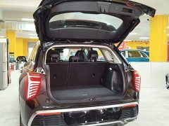 Hongqi HS3 PHEV 2024 115km Jinwei Edition - ფოტო 19