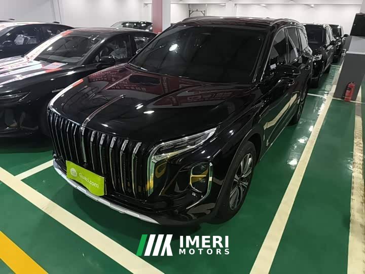 Hongqi HS7 PHEV 2.0T PHEV four-wheel drive 2 million units commemorative edition 6 seats