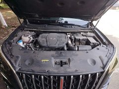 Hongqi HS5 2023 2.0T Qixiang Pro version - ფოტო 16