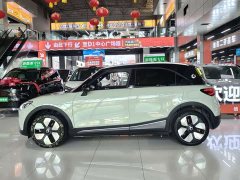smart elf #1 2026 smart new luxury version - ფოტო 4
