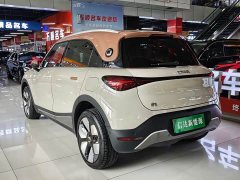 smart elf #1 2026 smart new luxury version - ფოტო 15