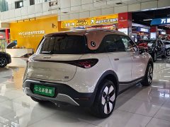 smart elf #1 2026 smart new luxury version - ფოტო 17