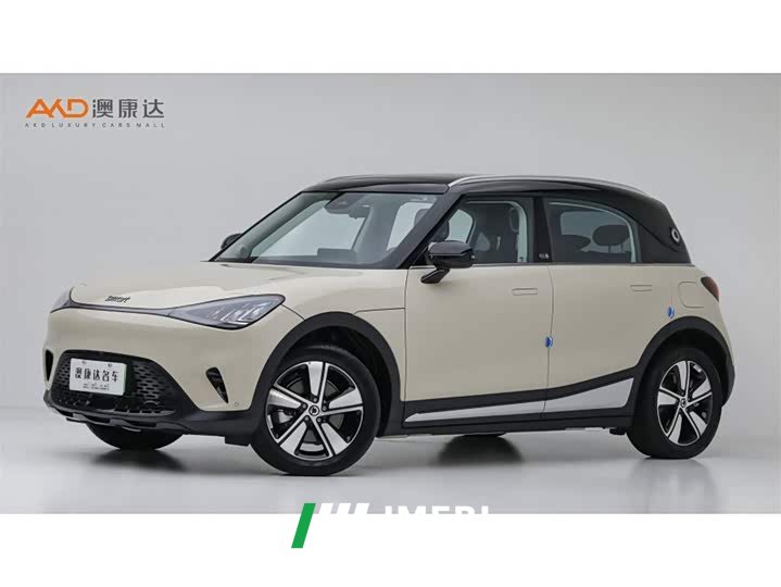 smart elf #1 2026 smart upgraded version - ავტომობილი ჩინეთიდან
