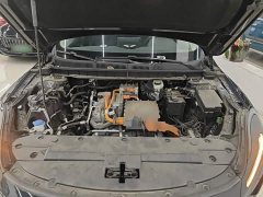 Hongqi E-QM5 2023 facelift basic travel version - ფოტო 20