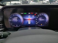 Hongqi HS5 2023 2.0T Qixiang Pro version - ფოტო 12