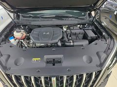 Hongqi HS5 2023 2.0T Qixiang Pro version - ფოტო 20