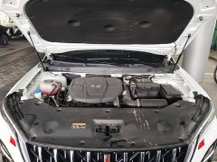 Hongqi HS5 2025 2.0T four-wheel drive Qixiang Pro version - ფოტო 20
