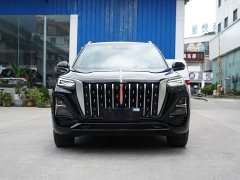 Ora Hongqi HS5 2023 2.0T four-wheel drive Qixiang Pro 500,000 units commemorative edition - ფოტო 2