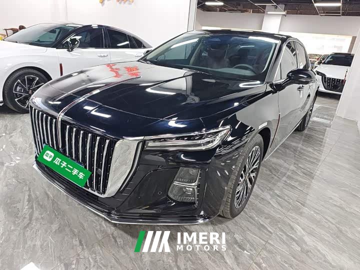 Hongqi H5 2024 2.0T Automatic Zhilianqichang Edition