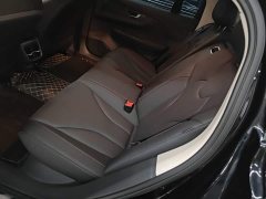 Hongqi E-QM5 2023 facelift basic travel version - ფოტო 17