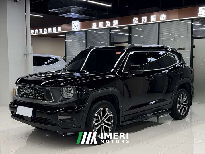 Haval Big Dog PLUS 2023 1.5T two-wheel drive trendy version Plus