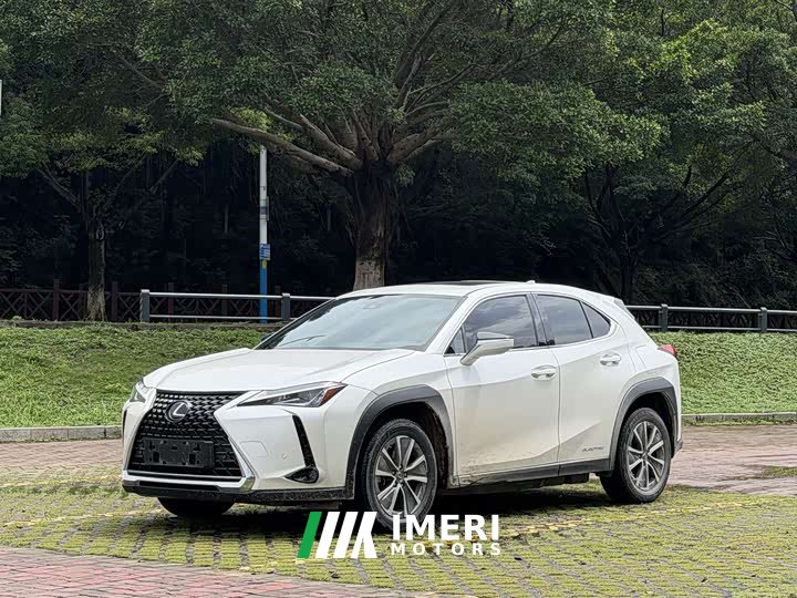 Lexus UX New Energy 2020 300e Pure Edition