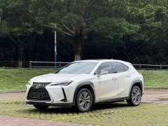 Lexus UX New Energy 2020 300e Pure Edition - ფოტო 1