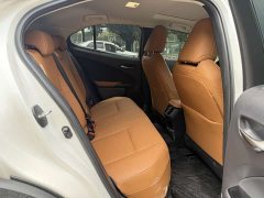 Lexus UX New Energy 2020 300e Pure Edition - ფოტო 15
