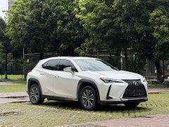 Lexus UX New Energy 2020 300e Pure Edition - ფოტო 3