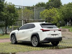 Lexus UX New Energy 2020 300e Pure Edition - ფოტო 4