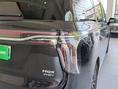 FAW Red Flag HQ9 PHEV 2024 2.0T AWD Luxury - ფოტო 8