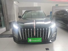 Hongqi HS5 2025 2.0T two-wheel drive Qixiang Pro version - ფოტო 3