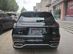 Ora Hongqi HS5 2.0T two-wheel drive 600,000 units commemorative edition - ფოტო 6
