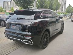 Ora Hongqi HS5 2.0T two-wheel drive 600,000 units commemorative edition - ფოტო 9