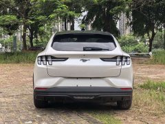 Ford Electric Horse 2021 Rear-wheel drive version (standard range) - ფოტო 12