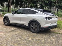 Ford Electric Horse 2021 Rear-wheel drive version (standard range) - ფოტო 13