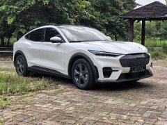 Ford Electric Horse 2021 Rear-wheel drive version (standard range) - ფოტო 15