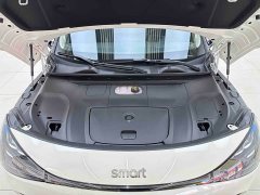 smart elf #1 2026 smart new luxury version - ფოტო 7
