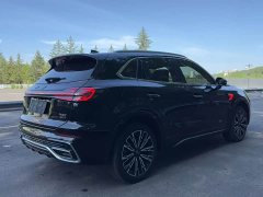FAW Red Flag HS5 2023 2.0T AWD Flagship Enjoy Pro - ფოტო 9