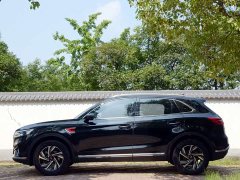 FAW Red Flag HS5 2022 Facelift 2.0T Smart Connected Premium Edition - ფოტო 15