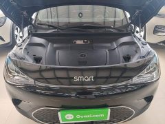 smart elf #1 2022 Pulse exciting version - ფოტო 16