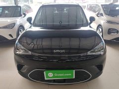 smart elf #1 2022 Pulse exciting version - ფოტო 3