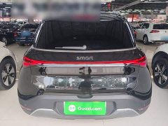 smart elf #1 2022 Pulse exciting version - ფოტო 4