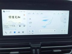 Hongqi HS5 2023 2.0T Qixiang Pro version - ფოტო 13
