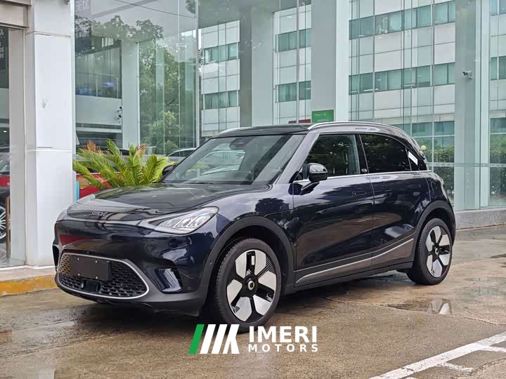 smart elf #1 2026 smart new luxury version - ავტომობილი ჩინეთიდან