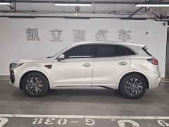 Hongqi HS5 2023 2.0T Qixiang Pro version - ფოტო 5
