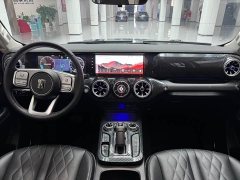 Tank 300 2023 Off-Road Version 2.0T Conqueror - ფოტო 14