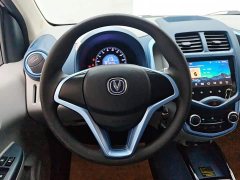 Changan Benben E-Star 2021 National Edition Colorful Lithium Iron Phosphate (31.95kWh) - ფოტო 15