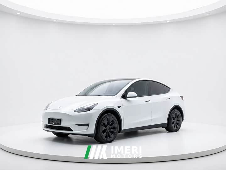 Tesla Model Y long-range all-wheel drive version - ავტომობილი ჩინეთიდან
