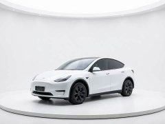 Tesla Model Y long-range all-wheel drive version - ფოტო 1