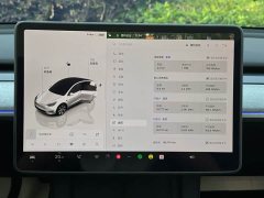 Tesla Model Y long-range all-wheel drive version - ფოტო 19