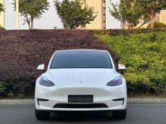 Tesla Model Y long-range all-wheel drive version - ფოტო 2