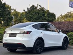 Tesla Model Y long-range all-wheel drive version - ფოტო 5