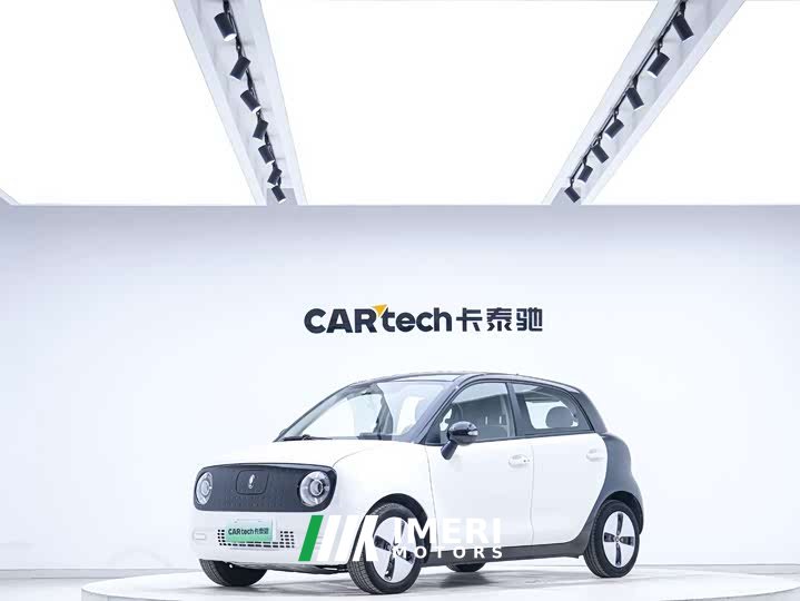 Ora Euler Black Cat 2022 301km Sprouting Lithium Iron Phosphate