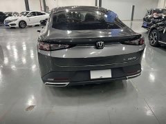 Ford Eado 1.5T GDI automatic premium - ფოტო 13
