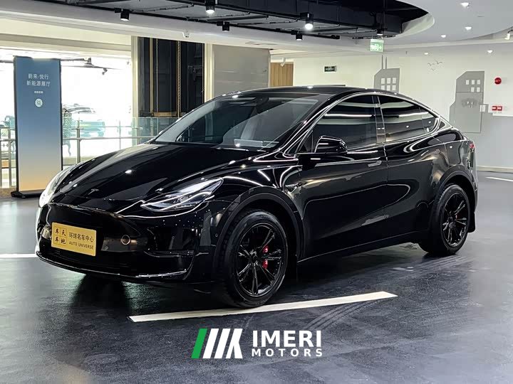 Tesla Model Y 2023 long-range all-wheel drive version