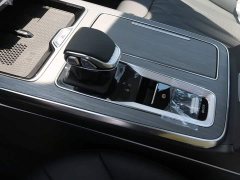 Ora Hongqi HS5 2025 2.0T two-wheel drive 600,000 units commemorative edition - ფოტო 14